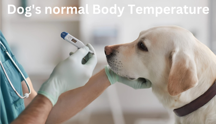 normal Body Temperature