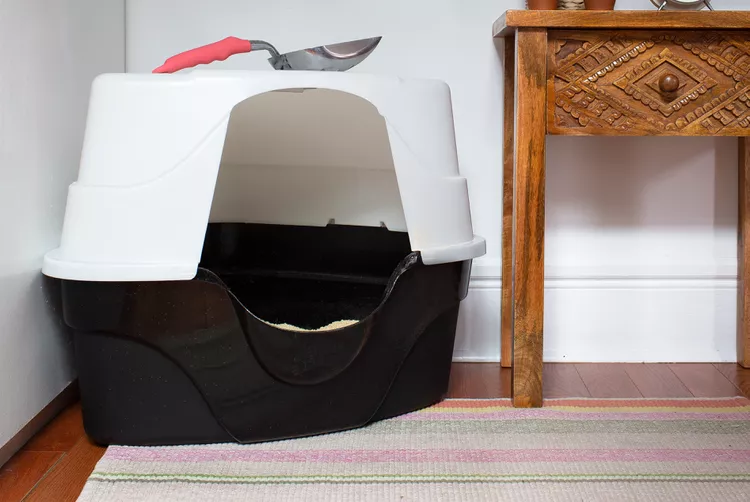 Cat Litter Box