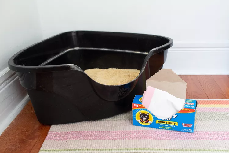 Cat Litter Box