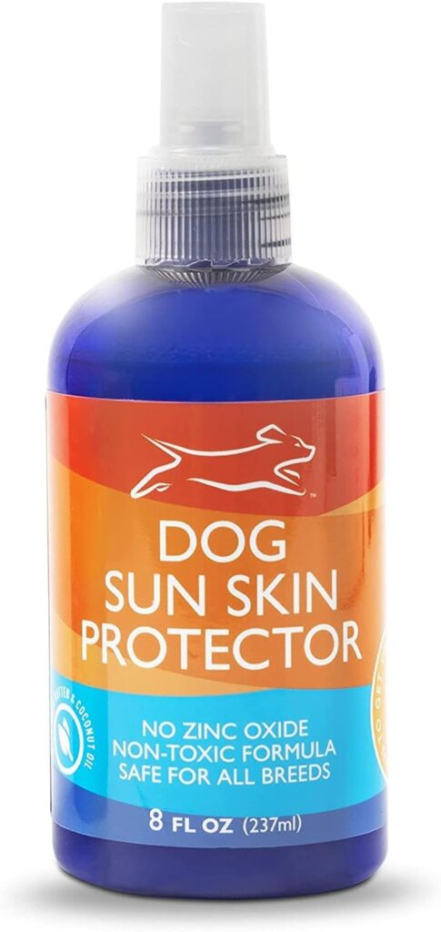 Sun Protectants for Dogs