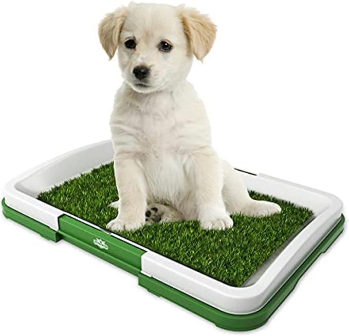 Artificial Grass for Dogs