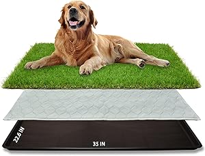 Artificial Grass for Dogs