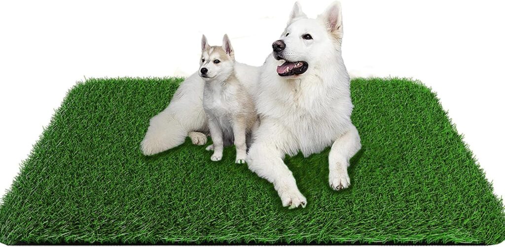 Artificial Grass for Dogs