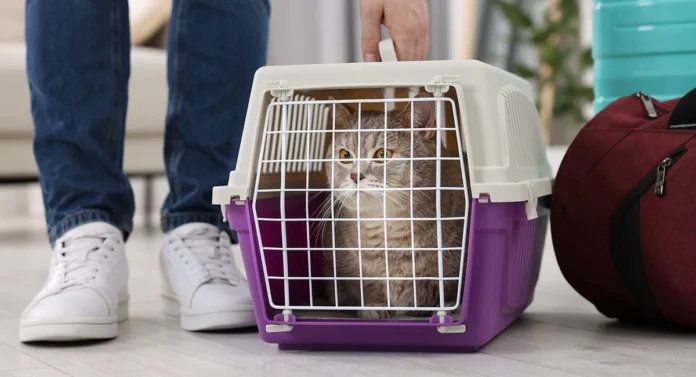 Cat carrier